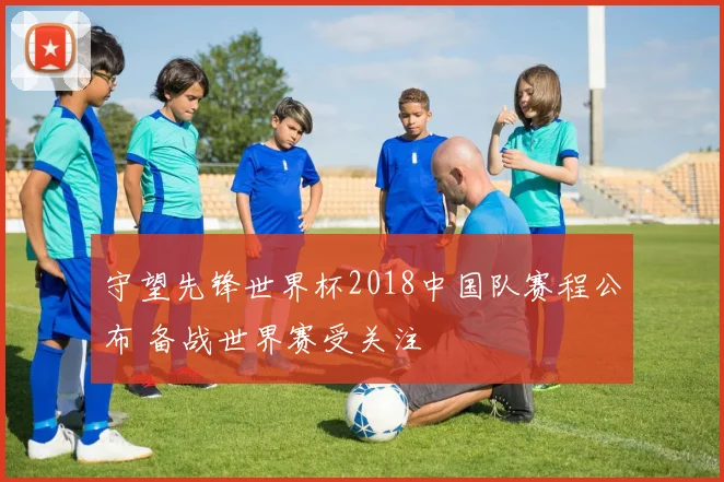 守望先锋世界杯2018中国队赛程公布 备战世界赛受关注