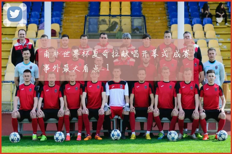 南非世界杯夏奇拉献唱开幕式 成赛事外最大看点_1